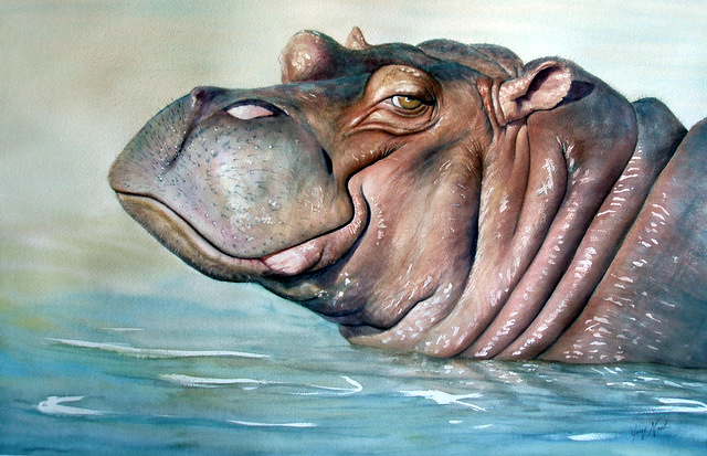 Hippo Lisa
