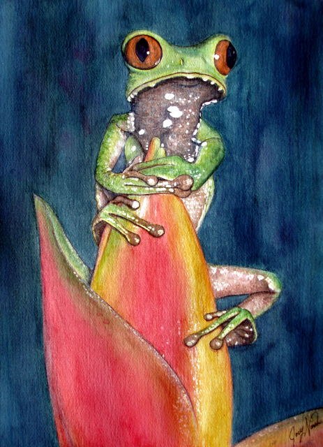 Heliconia a la Tree Frog
