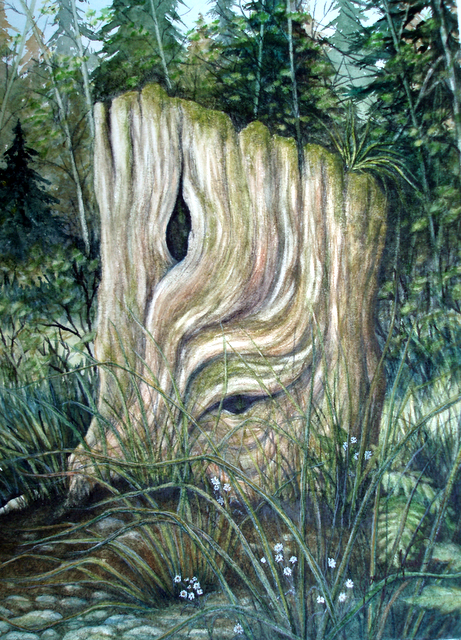 The Stump