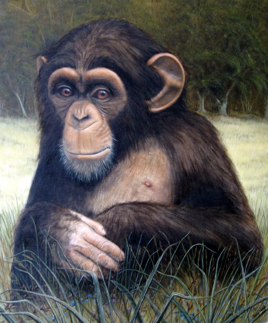 Mona Chimp