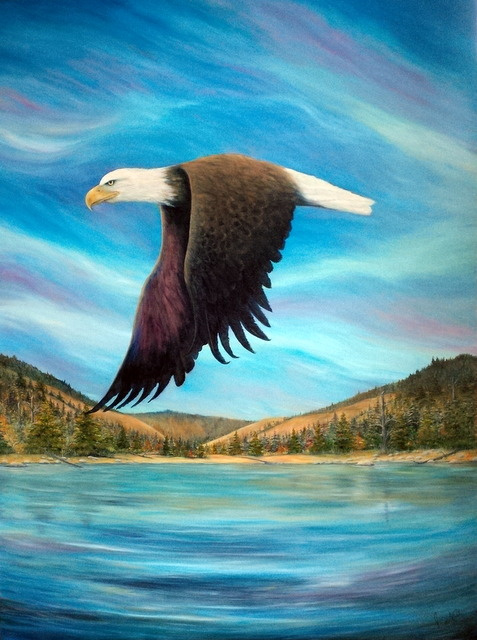 Bald Eagle Shuswap Rhapsody