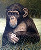 Mona Chimp